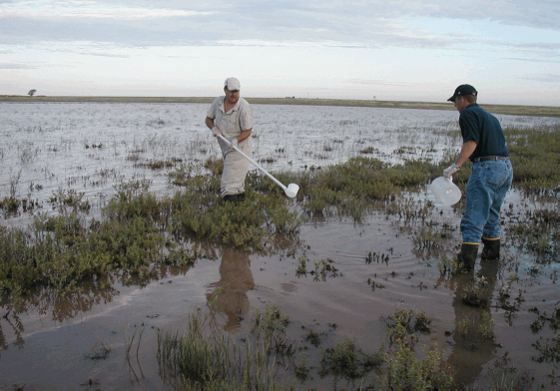 Technicians Sampling at Playa 3