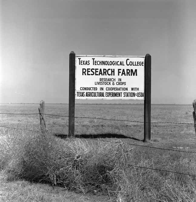 Entrance sign from 1962 for the Texas Technological College Research Farm. Entrance sign from 1962 for the Texas Technological College Research Farm.