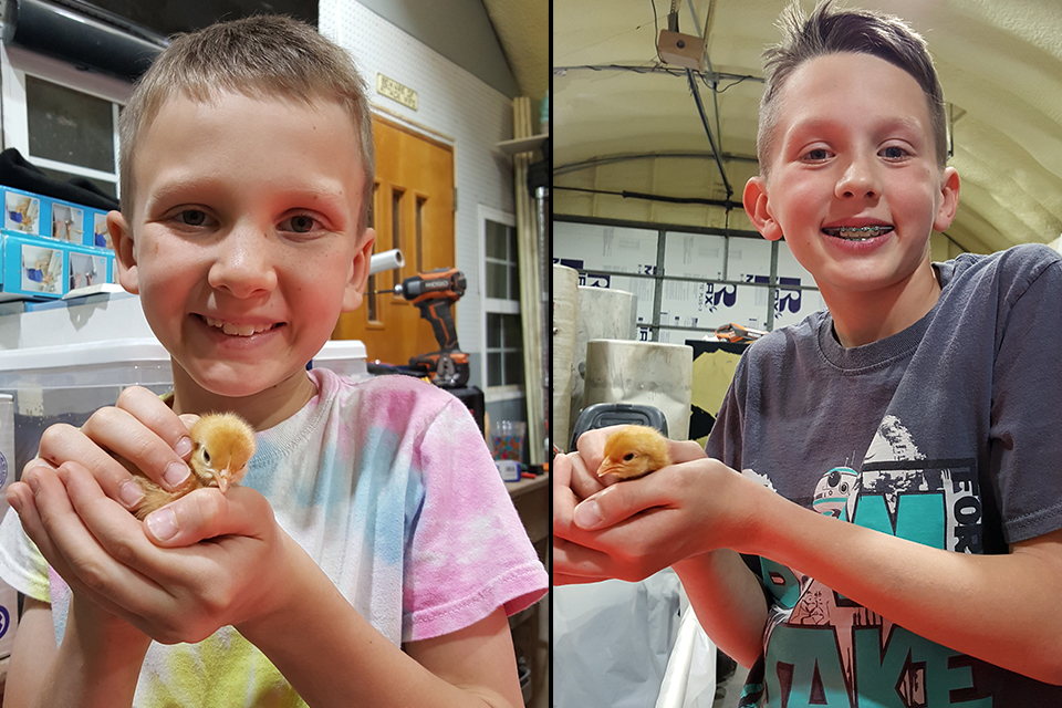 The Neusch boys are raising 38 chickens, and started a garden The Neusch boys are raising 38 chickens, and started a garden